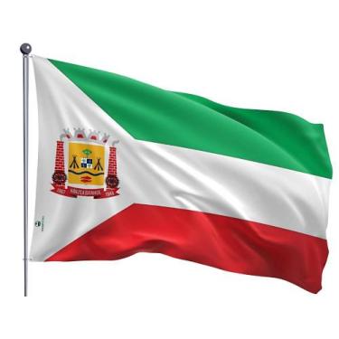 Imagem de Bandeira do Município de Várzea Grande Uma Face Estampada Tamanho 70x1