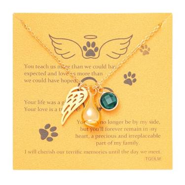 Imagem de TGOLM Colar de urna animal de estimação para presente de simpatia por perda de animais de estimação para cinzas, pingente de asa de anjo, pedra do mês de nascimento, joia de lembrança de cremação para