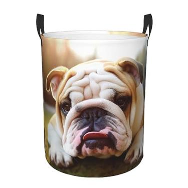 Imagem de Cesto de roupa suja fofo para cachorros, dobrável, impermeável, cesto de armazenamento de roupas com alças, pano Oxford, organizador de brinquedos, cesta para banheiro, lavanderia, quarto, pequeno
