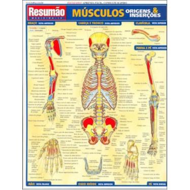 Imagem de Músculos: origens e inserções - RESUMAO