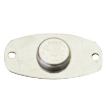 Imagem de Ibutton Vigia Bastão Ronda Henry Ou Topdata 12 pc 1990a+f5