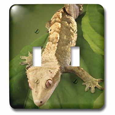 Imagem de 3dRose lsp_84105_2 Interruptor duplo Maresa Pryor lagarto com crista caledônia Na02 Mpr0086