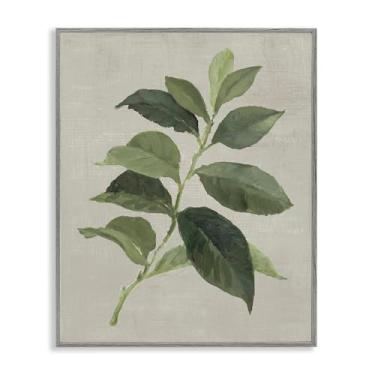 Imagem de Stupell Industries Arte giclée emoldurada cinza folha de café arábica, design por Lanie Loreth, 40 x 50 cm