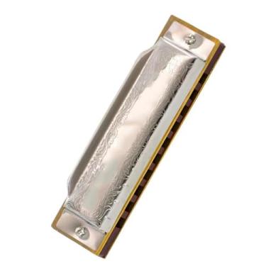 Imagem de Gaita profissional 10 furos diatônica blues instrumento requintado prata aço inoxidável capa material (cor: C)