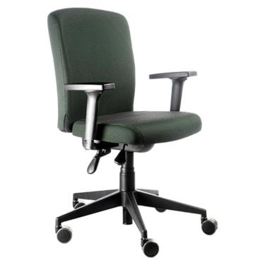 Imagem de Cadeira Diretor  Espaldar Baixo Linha Alpha Verde