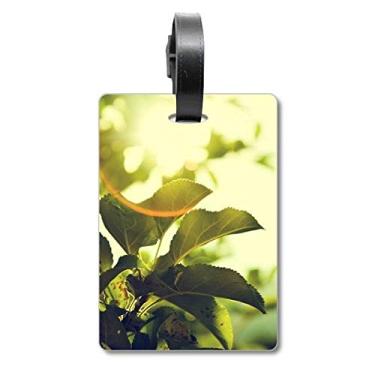 Imagem de Sunshine Leaves Plant Picture Nature Suitcase Bag Tag Luggage Card Scutcheon Label