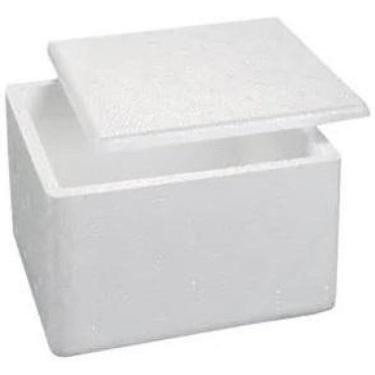 Imagem de 5 Un De Caixa Isopor Pequena 1Kg - 1L , Vacina