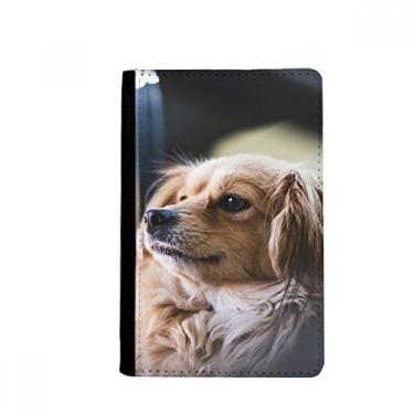 Imagem de Porta-passaporte para cachorro pequeno animal solitário para foto, capa para cartão, Multicolorido.