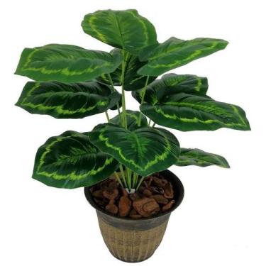 Imagem de Árvore Folhagem Verde 53cm Arranjo e Vaso de Sala Plantas - La Caza St