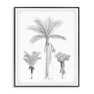 Imagem de Stupell Industries Palmeira Trio Sketches Gray Framed Giclee Art, design por Lettered and Lined, 20 x 16