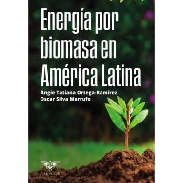 Imagem de Energía por biomasa en América Latina - Espanhol