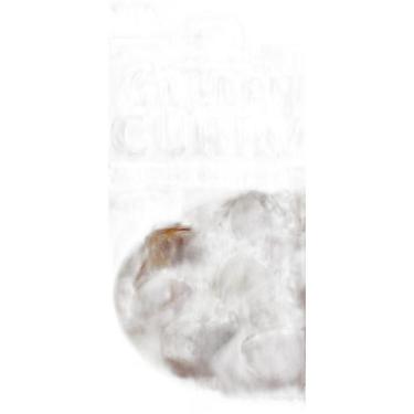 Imagem de Tempero Golden Curry Amakuchi Picante Nível Forte S&B - 92G