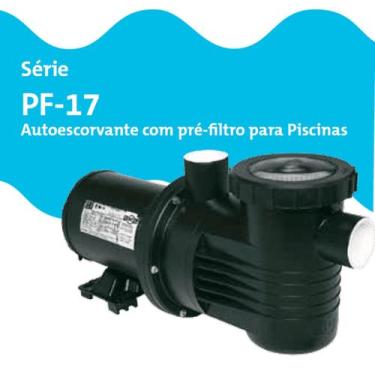 Imagem de Bomba Para Piscina Pf-17 1/3 Cv Bivolt (127/220 v) Dancor