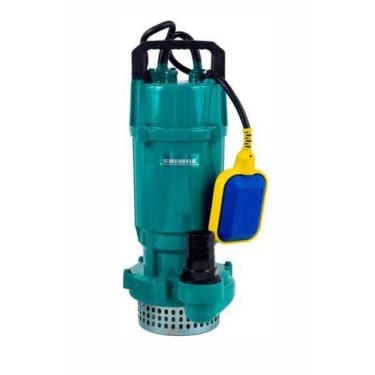 Imagem de Motobomba submersa qdx10-16 1hp  - claw, 110