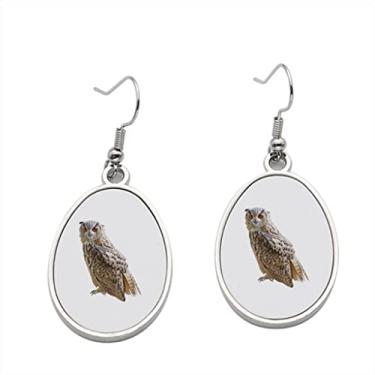 Imagem de Brinco de coruja - Brincos pendurados para meninas - Presente de festa de aniversário dos namorados