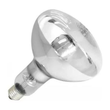 Imagem de Lâmpada 250w Secagem Infravermelha E27 Estufa Alimento - GG Inox, 110V