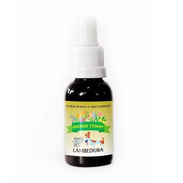 Imagem de Floral de Bach Lambedura Animal Flower - 30ml - Amborela / Animal Flow