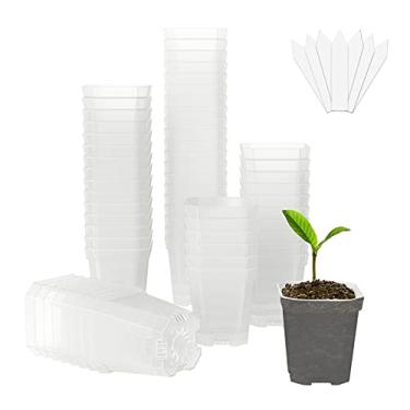 Imagem de Foxany Vaso de berçário transparente de 7,62 cm, 60 peças de vasos quadrados de plástico grosso sem pires, vasos de mudas de plantas, vasos de sementes com 100 peças de etiquetas de plantas