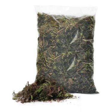 Imagem de 50G - Musgo Esfagno Verde Desidratado Decoração Arranjos Flores - VIVA