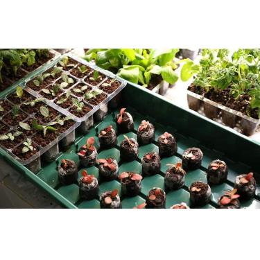 Imagem de TOPINCN A Semente da Planta Cresce A Caixa, Acionador de Partida Plástico Durável da Muda do Berçário Com Característica Absorção de água para Jardineiros e Amadores (1)