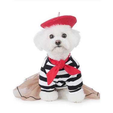 Imagem de Impoosy Vestido de artista de cachorro com lindo chapéu de boina e colar, roupas para animais de estimação para cães pequenos, saias tutu, vestidos para cães e gatos (P)