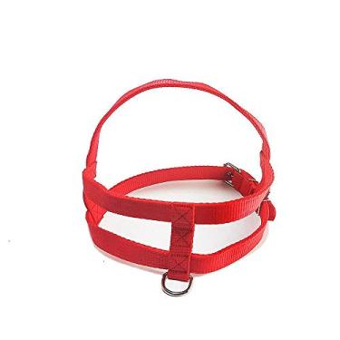 Imagem de Peitoral Nylon Vermelho Santa Fé Pet Nº 4
