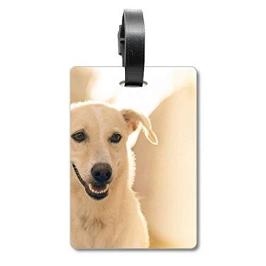 Imagem de Smile White Dog Imagem de animal de estimação Bagagem Etiqueta Cartão de Bagagem Etiqueta Scutcheon Etiqueta