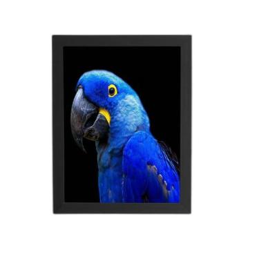 Imagem de Quadro Arara ul-Grande Aves Animais Moldura Preta 60X40Cm - Plimshop