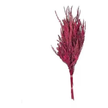 Imagem de Capim Buque Samambaia Do Campo Desidratada Arranjo Pink Lar - FLORA FU