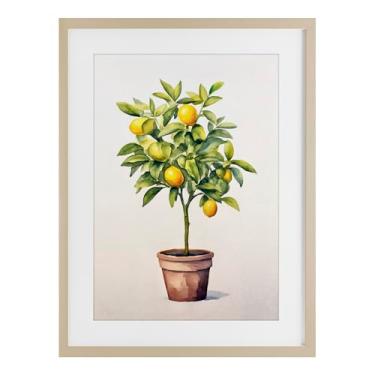 Imagem de Stupell Industries Impressão emoldurada de bétula serenata de árvore cítrica sob vidro por Andrea Haase, 23 x 17
