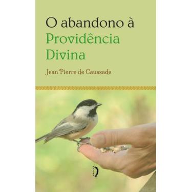 Imagem de Livro - O Abandono à Providência Divina