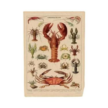 Imagem de Cartazes Vintage com Estampa de Cogumelos, Frutas e Vegetais - Arte Bo