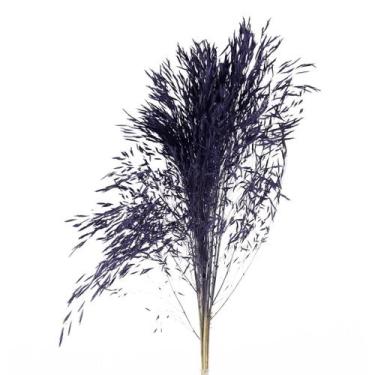 Imagem de Capim Chorão  Roxo Desidratado - Tem Flores