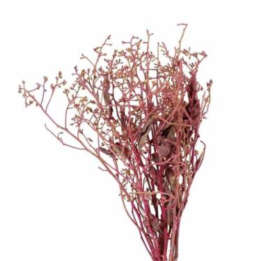 Imagem de Dedo De Anjo Rosa Flor Desidratada Buque Flores Secas - Pense Flores