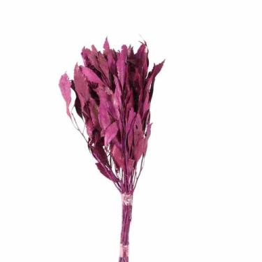 Imagem de Carne de Vaca / Carvalho Rosa - Pense Flores