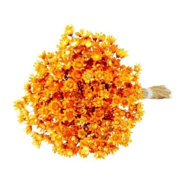 Imagem de Sempre Vivas Laranja Lembrança, Decoração 600 Flores - Pense Flores