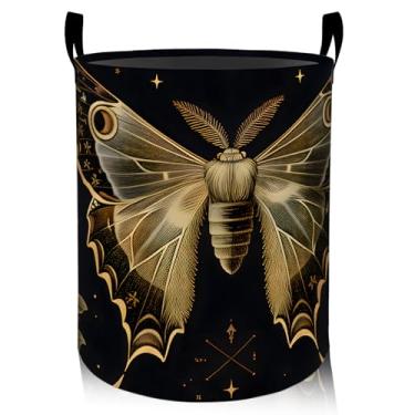 Imagem de ainori Cesta de roupa suja floral de borboleta e rosa, pano Oxford, vintage, cesto dobrável para decoração de quarto, presente com estampa de insetos, organizador de brinquedos 19,7 x 15,8 polegadas