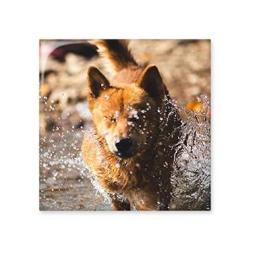 Imagem de Pedra adorna de tijolo vitrificado para fotografia de animal fofo, azulejo de cerâmica brilhante