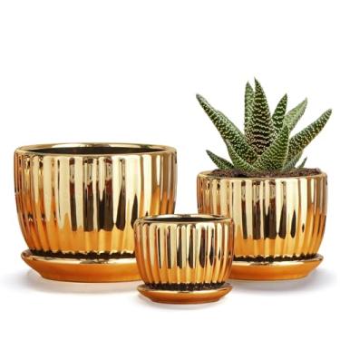 Imagem de Ton Sin Conjunto de vasos de suculentas de cerâmica dourada de 3 a 10 + 14 + 16,5 cm, mini vasos internos com drenagem - vasos decorativos feitos à mão para orquídeas de cerâmica e ervas