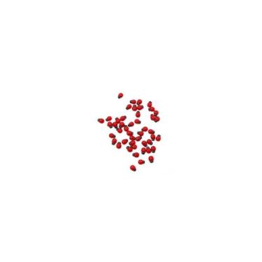 Imagem de Mini Joaninha 3d Decoração Jardim, Vasos - 30 Unidades - Topmixshop