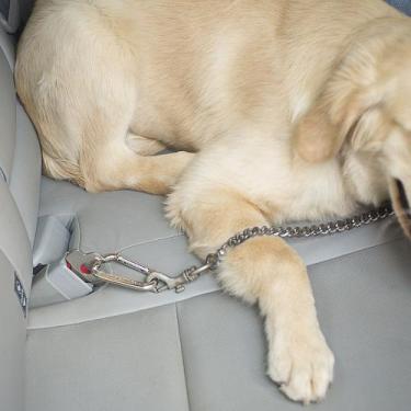 Imagem de Trava do Cinto para Transportar Animais - Vw-Ford-Gm-Outras - Maxx Dia