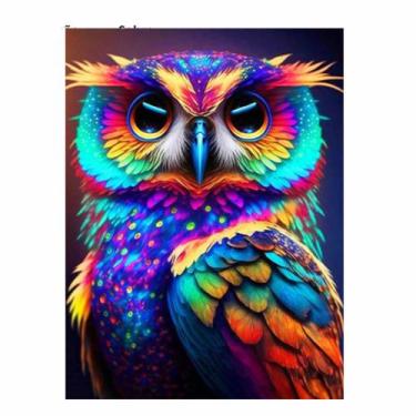 Imagem de Artesanato Pintura Com Diamante Diy 30X40 - CORUJA TM-DW2344 - PPSHOP
