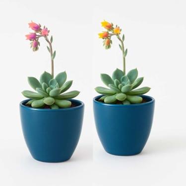 Imagem de Kit 2 Cachepots de Porcelana com Furo – Vaso Pequeno para Plantas, Suculentas, Decoração Moderna (Azul)