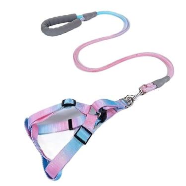 Imagem de Coleira e Guia com Amortecedor e Pegador Peitoral Ajustável Para Pets Cachorros Colorido(Azul Rosa,XS)