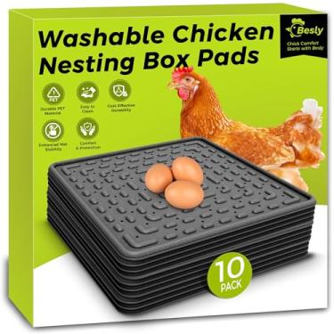 Imagem de Almofadas de assentamento laváveis e reutilizáveis para galinheiro - 10 peças de tapetes de ninho de galinha - Almofadas de caixa de ninho de plástico duráveis de 30,5 x 30,5 cm para galinhas