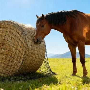 Imagem de Umisu Rede de feno de fardos redondos de 1,5 x 1,5 m para cavalos, cabras e gado - Rede de feno para alimentação lenta sem nós resistente com malha de 5 cm, reduz o desperdício de feno em fazendas e