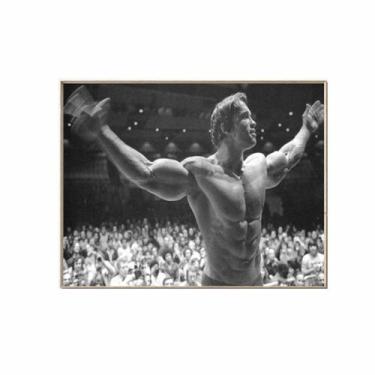 Imagem de Pôster de arte de parede com imagem Arnold Schwarzenegger Anime 30x40c