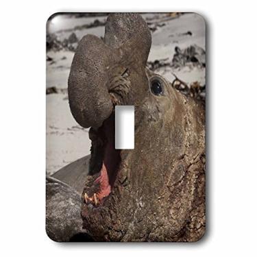 Imagem de 3dRose lsp_86518_1 Selo de Elefante do Sul, Ilhas Falkland Sa09 Pox0433 Pete Oxford Interruptor Único