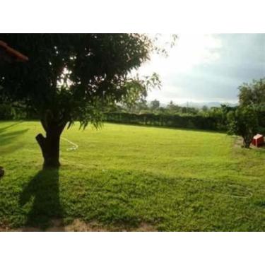 Imagem de Sementes De Grama Batatais 5 Kg para jardim - Realpecuaria