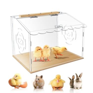 Imagem de Espaçosas caixas de chocadeira de frango, caixa de chocadeira para pintinhos, chocadeira de galinha acrílica, kit de chocadeira de galinhas para perdizes, ouriços, hamsters, répteis (transparente)